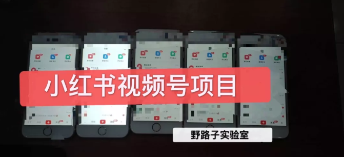 野路子小红书视频号1.0项目，直接上手操作就能赚钱的视频号项目-闪越社