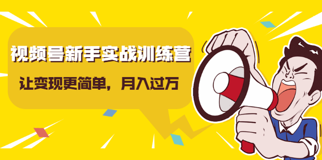 视频号新手实战训练营，让变现更简单，玩赚视频号，轻松月入过万-闪越社