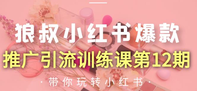 狼叔小红书爆款推广引流训练课第12期，手把手带你玩转小红书-闪越社