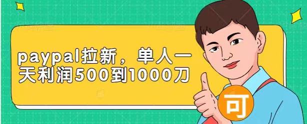 Paypal拉新赚美刀项目，单人一天利润500-1000刀【视频课程】-闪越社
