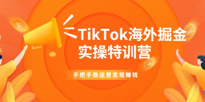 TikTok海外掘金实操特训营：手把手教运营变现赚钱-闪越社