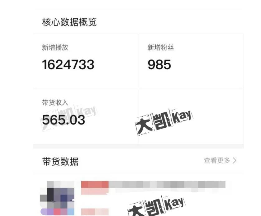 大凯进阶圈新玩法之拼多多视频玩法，利润大概一个号一天能有500~1500的左右!-闪越社