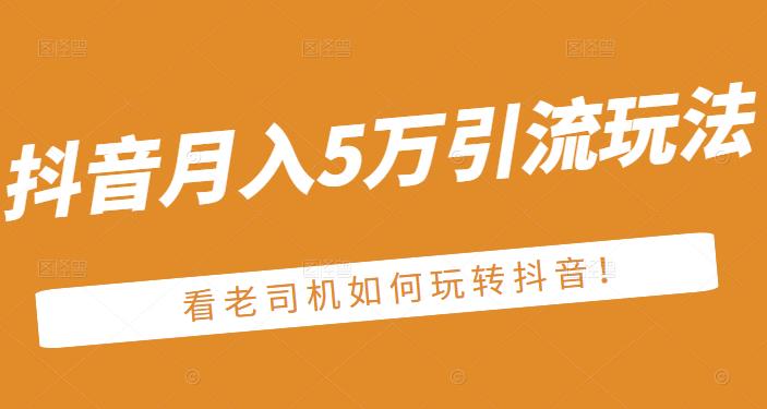 老古董·抖音月入5万引流玩法，看看老司机如何玩转抖音(附赠：抖音另类引流思路)-闪越社