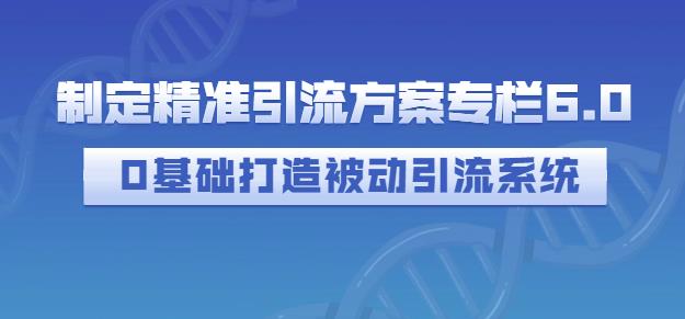 制定精准引流方案专栏6.0，0基础打造被动引流系统-闪越社