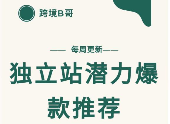 【跨境B哥】独立站潜力爆款选品推荐，测款出单率高达百分之80-闪越社
