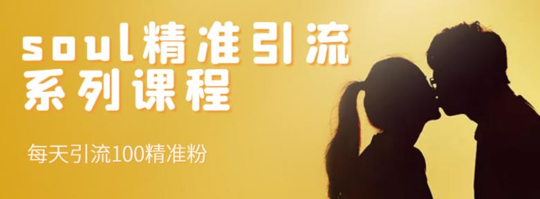 soul精准引流系列课程，每天引流100精准粉-闪越社