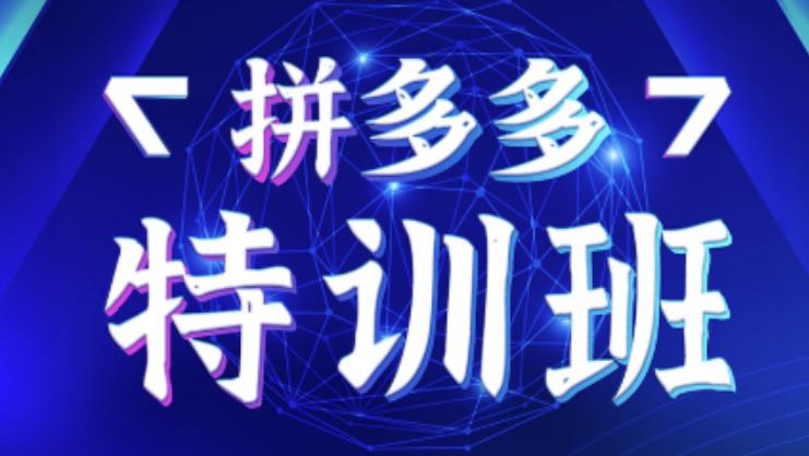 星雪教育·拼多多基础班+进阶班+突破班，用系统的学习模式快速改变现状价值3580元-闪越社