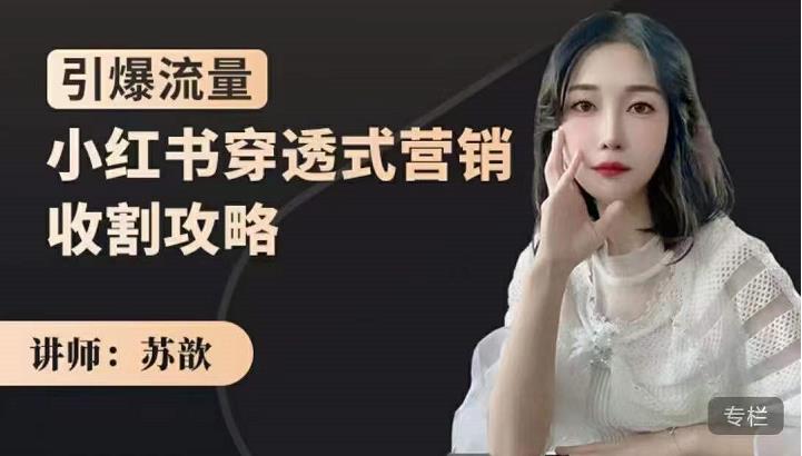苏歆：小红书穿透式营销收割攻略，引爆流量，助你玩转小红书-闪越社