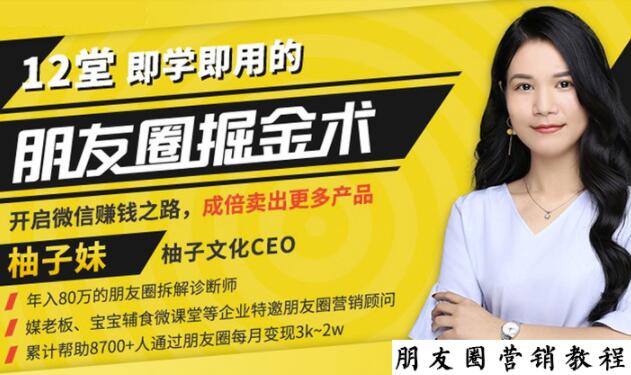 【营销必学】12堂学之即用的朋友圈掘金术：开启你的副业赚钱之路-闪越社