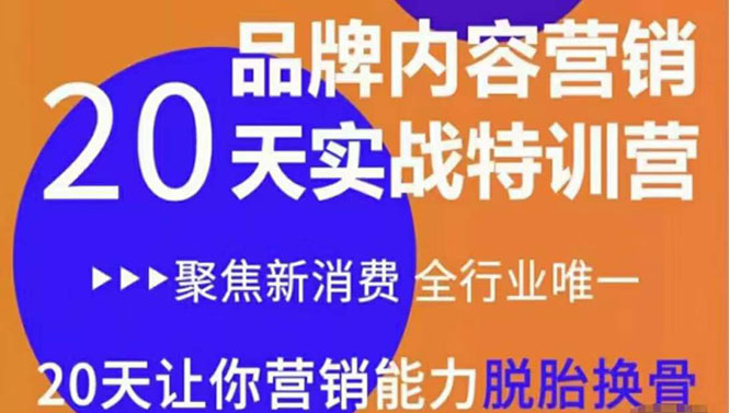 《内容营销实操特训营》20天让你营销能力脱胎换骨（价值3999）-闪越社