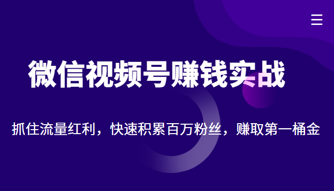 微信视频号赚钱实战：抓住流量红利，快速积累百万粉丝，赚取你的第一桶金-闪越社