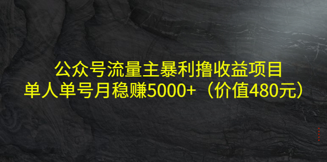 公众号流量主暴利撸收益项目，单人单号月稳赚5000+（价值480元）-闪越社