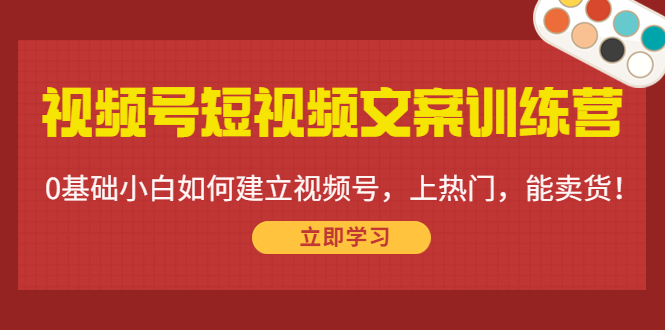视频号短视频文案训练营：0基础小白如何建立视频号，上热门，能卖货！-闪越社