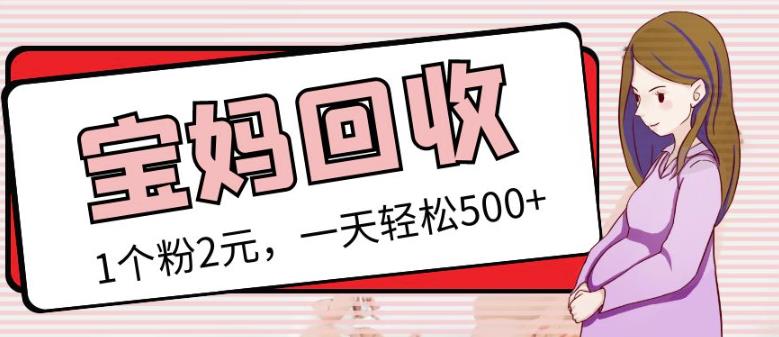 最新小红书母婴号宝妈粉回收项目，1个粉2元，一天轻松500+案例分享【粉丝包回收】-闪越社