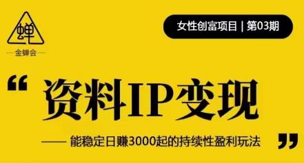 资料IP变现，能稳定日赚3000起的持续性盈利玩法-闪越社