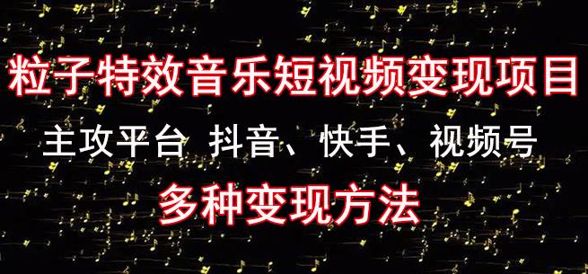黄岛主《粒子特效音乐短视频变现项目》主攻平台抖音、快手、视频号多种变现方法-闪越社