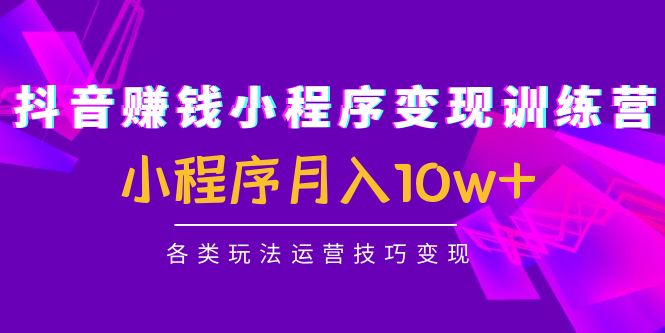 抖音赚钱小程序变现训练营：小程序月入10w+各类玩法运营技巧变现-闪越社