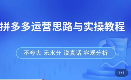 拼多多店铺运营思路与实操教程，快速学会拼多多开店和运营，少踩坑，多盈利-闪越社
