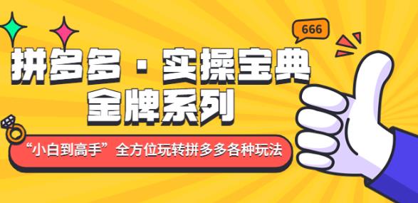 拼多多·实操宝典：金牌系列“小白到高手”带你全方位玩转拼多多各种玩法-闪越社