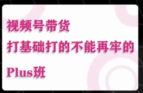 大播汇·视频号带货Puls班，视频号底层逻辑，起号自然流鱼塘等玩法-闪越社