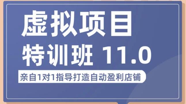 陆明明·虚拟项目特训班（10.0+11.0），0成本获取虚拟素材，0基础打造自动盈利店铺-闪越社