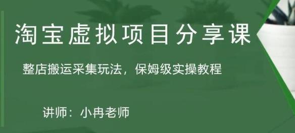 淘宝虚拟整店搬运采集玩法分享课：整店搬运采集玩法，保姆级实操教程-闪越社