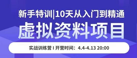 虚拟资料项目新手特训，10天从入门到精通，保姆级实操教学-闪越社