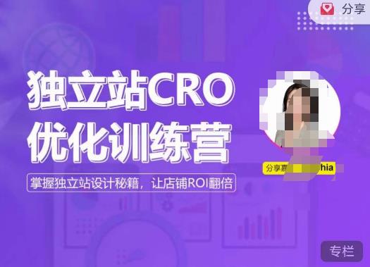 独立站CRO优化训练营，掌握独立站设计秘籍，打造高转化的独立站，让店铺ROI翻倍-闪越社