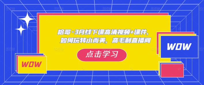哈哥·3月线下实操课高清视频+课件，如何玩转小而美，高毛利直播间-闪越社