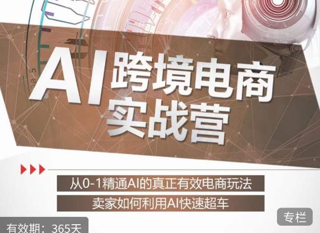 白龙老师·AI跨境电商实战营：从0-1精通Al的真正有效电商玩法，卖家如何利用Al快速超车-闪越社