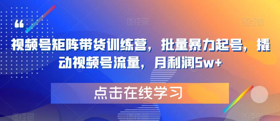 视频号矩阵带货训练营，批量暴力起号，撬动视频号流量，月利润5w+-闪越社