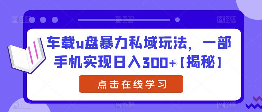 车载u盘暴力私域玩法，一部手机实现日入300+【揭秘】-闪越社