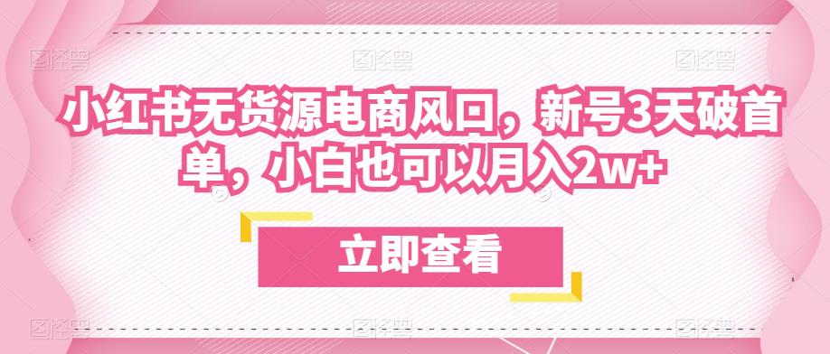 众狼电商余文小红书无货源电商风口，新号3天破首单，小白也可以月入2w+-闪越社