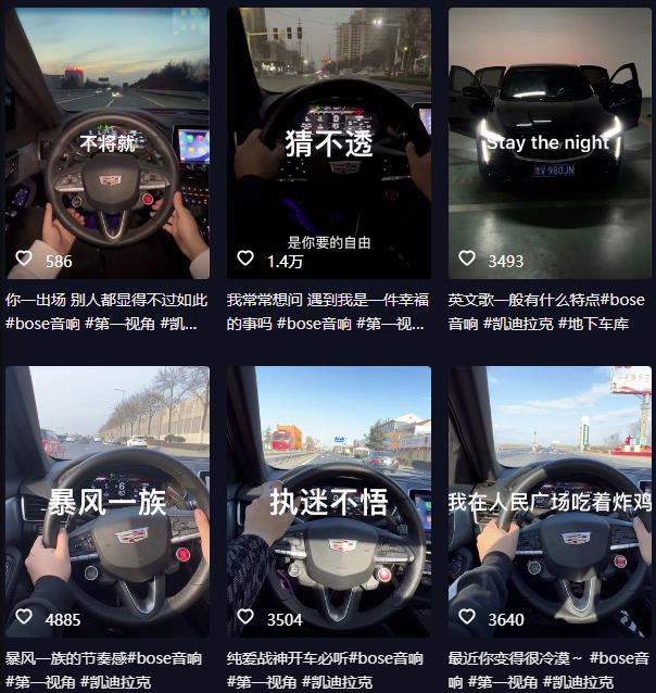 抖音开车视频项目，0基础操作，每天五分钟，月入1W+【揭秘】-闪越社