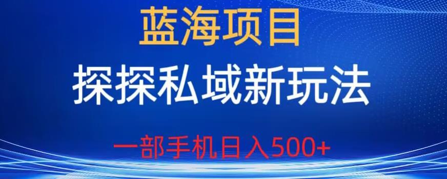 蓝海项目，探探私域新玩法，一部手机日入500+很轻松【揭秘】-闪越社