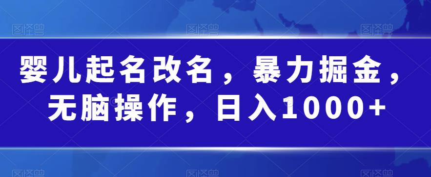 婴儿起名改名，暴力掘金，无脑操作，日入1000+【揭秘】-闪越社