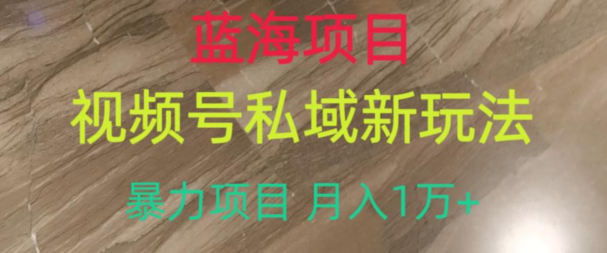 蓝海项目，视频号私域新玩法，暴力项目月入1万+【揭秘】-闪越社