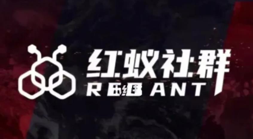 社群运营：红蚁社群【48节落地系统课程+2000人高端社群】-闪越社