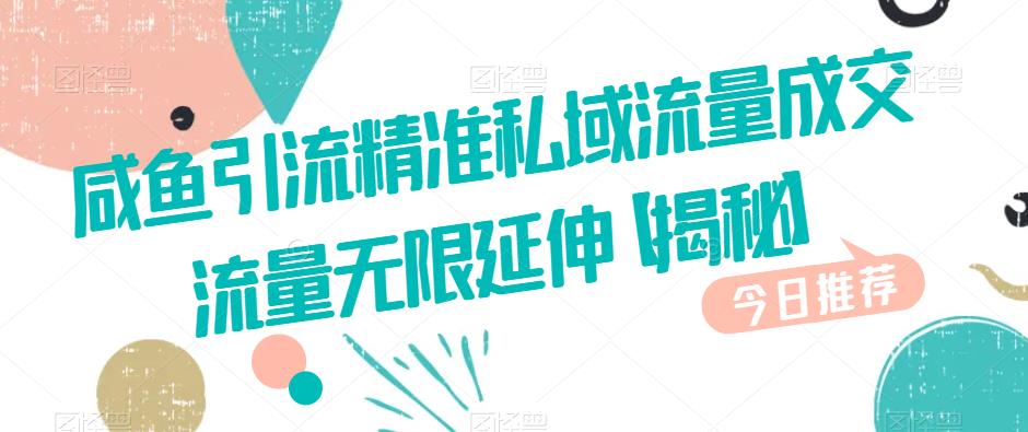 咸鱼引流精准私域流量成交流量无限延伸【揭秘】-闪越社