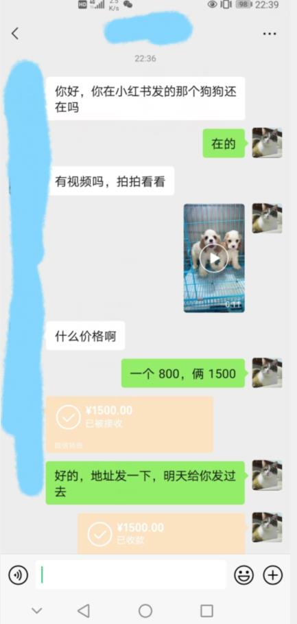 外边收费3980的同城萌宠项目，用最冷门的玩法冲击最热门的市场【揭秘】-闪越社