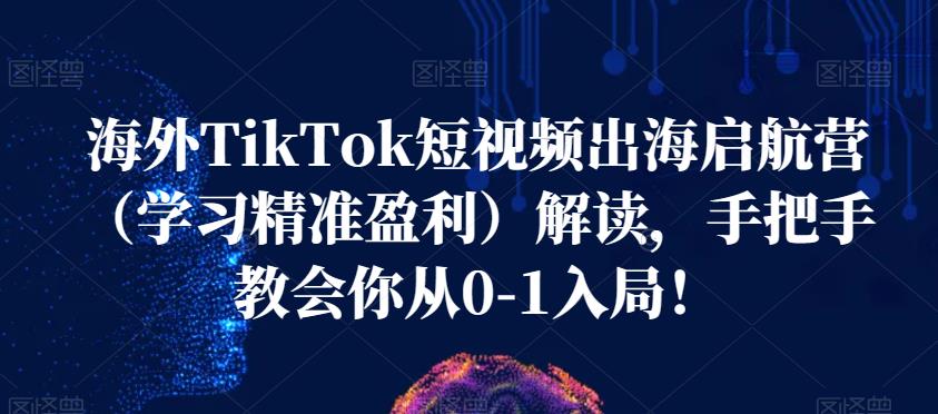 海外TikTok短视频出海启航营（学习精准盈利）解读，手把手教会你从0-1入局！-闪越社