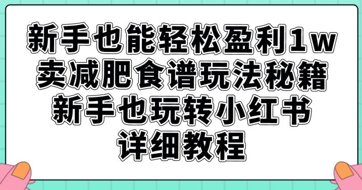 新手也能轻松盈利1w，卖减肥食谱玩法秘籍，新手也玩转小红书详细教程【揭秘】-闪越社