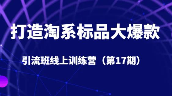 打造淘系标品大爆款引流班线上训练营（第17期）5天直播授课-闪越社