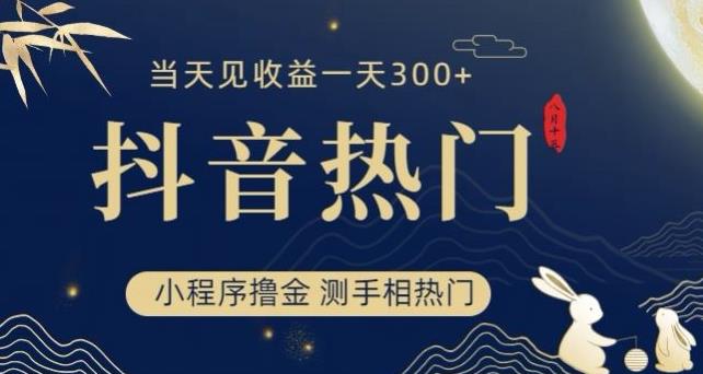 抖音最新小程序撸金，测手相上热门，当天见收益一小时变现300+【揭秘】-闪越社