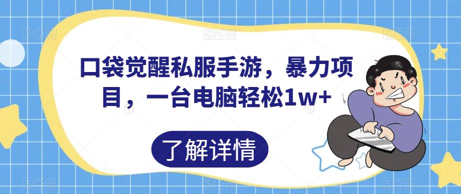 口袋觉醒私服手游，暴力项目，一台电脑轻松1w+【揭秘】-闪越社