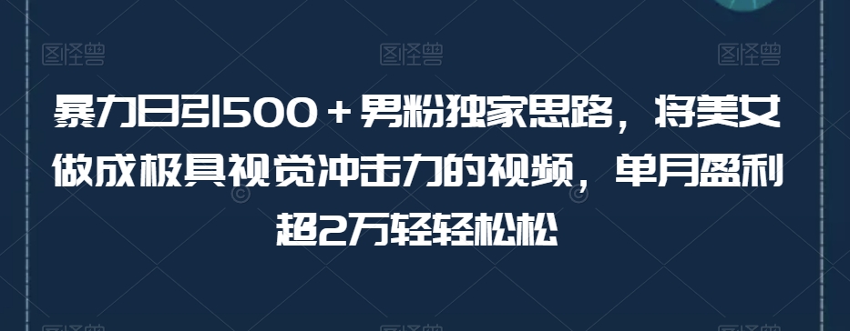 暴力日引500＋男粉独家思路，将美女做成极具视觉冲击力的视频，单月盈利超2万轻轻松松-闪越社