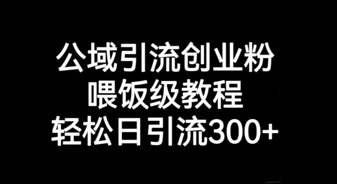 公域引流创业粉，喂饭级教程，轻松日引流300+【揭秘】-闪越社
