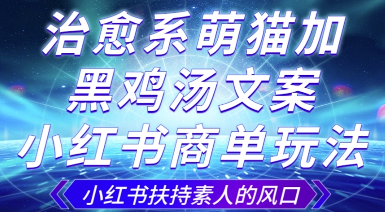 治愈系萌猫加+黑鸡汤文案，小红书商单玩法，3~10天涨到1000粉，一单200左右-闪越社