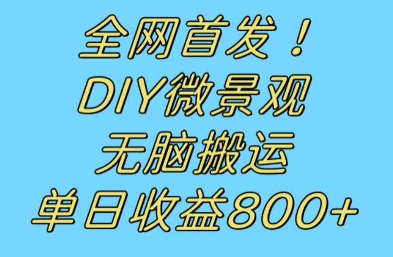 全网首发冷门赛道！DIY微景观，无脑搬运视频，日收益800+【揭秘】-闪越社
