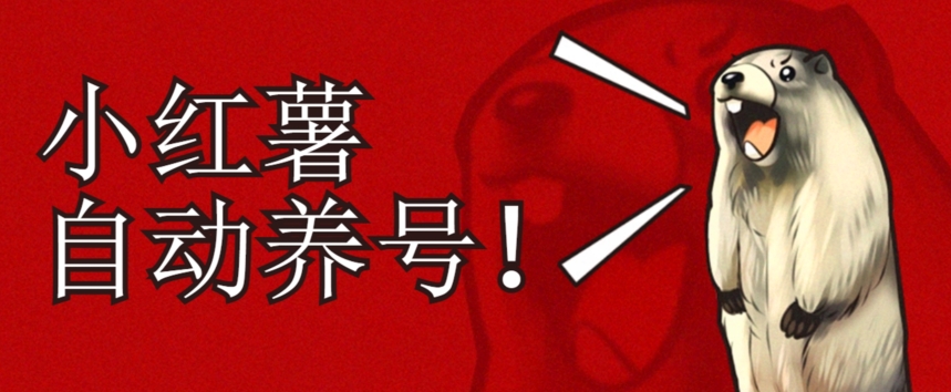小红书养号秘籍，如何自动涨粉清晰系统标签打造高权重账号【揭秘】-闪越社